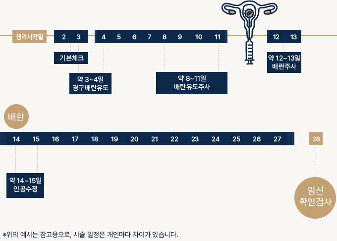 인공수정 기간