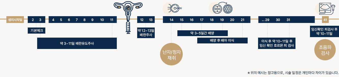 인공수정 기간