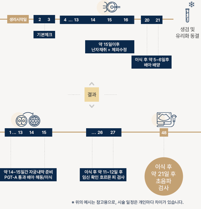 착상전유전진단 기간