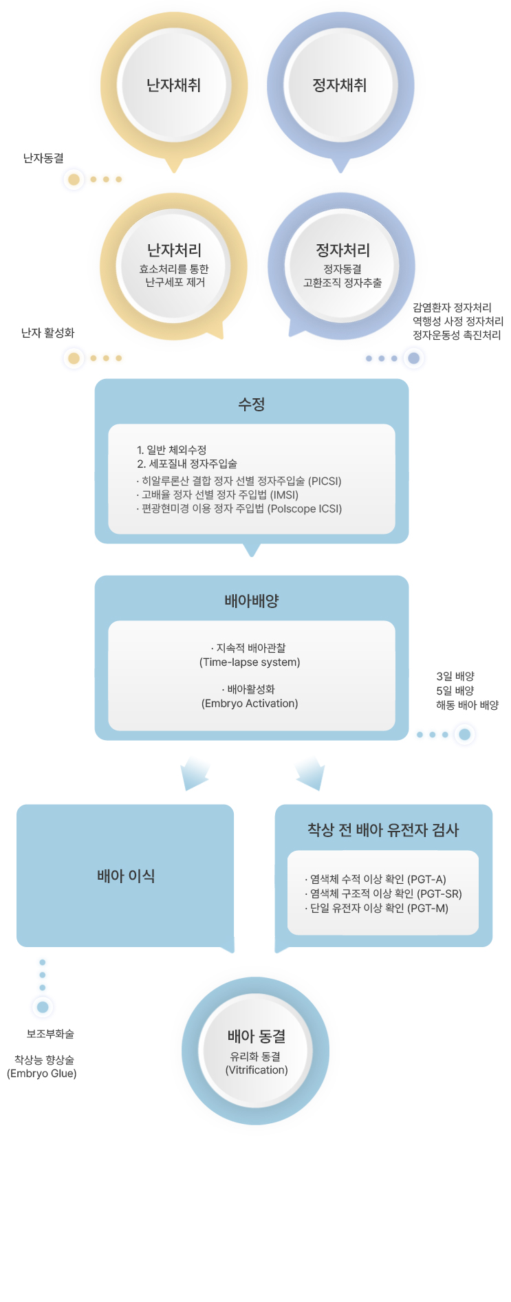 체외수정 시술과정